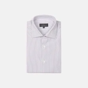 Cutaway Collar, Single Cuff Shirt in Blue Stripe